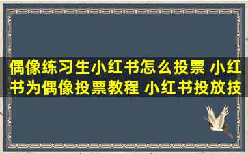 偶像练习生小红书怎么投票 小红书为偶像投票教程 小红书投放技巧